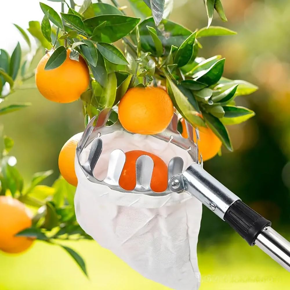 NEWFUN Raccogli Frutta Telescopico,Raccogli Frutta,Raccoglitore di Mele,4.2 m Bastone Raccogli Frutta,Acciaio Inox,Facile da Montare,Strumento di Raccolta della Frutta a Risparmio di Lavoro per Mele