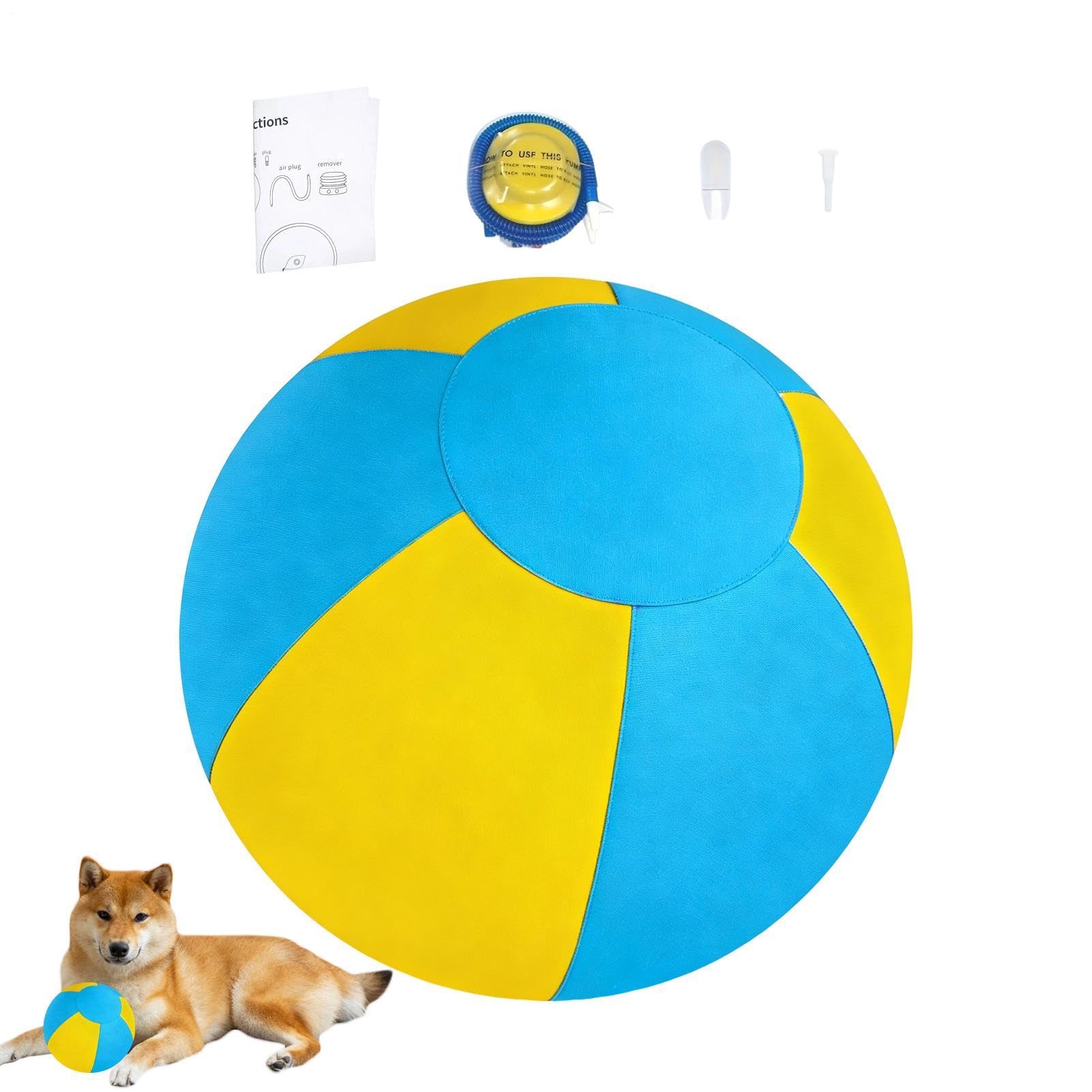 Balle rebondissante interactive anti ennui pour chien actif jouet résistant de 20,5 cm