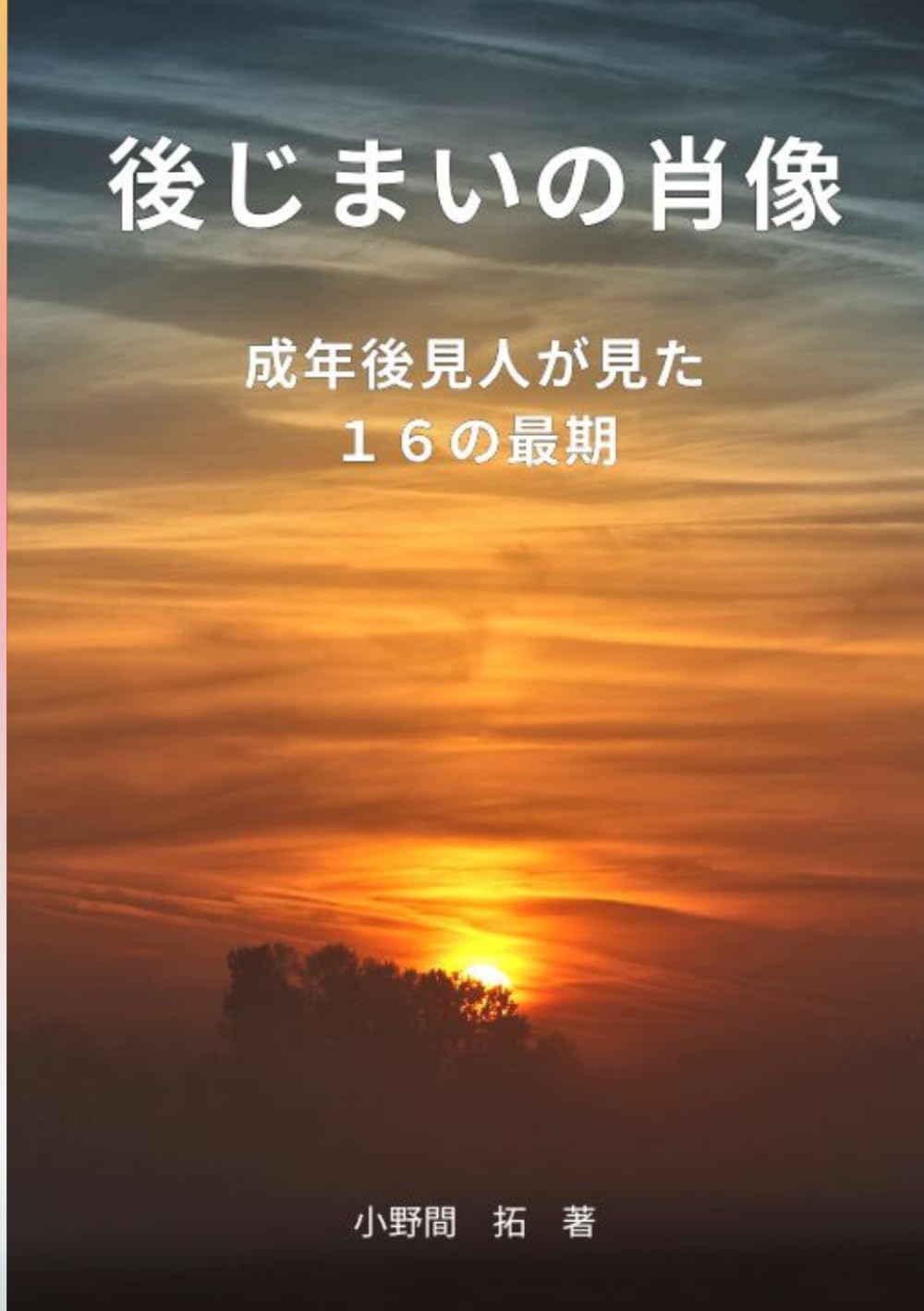 後じまいの肖像: 成年後見人が見た１６の最期