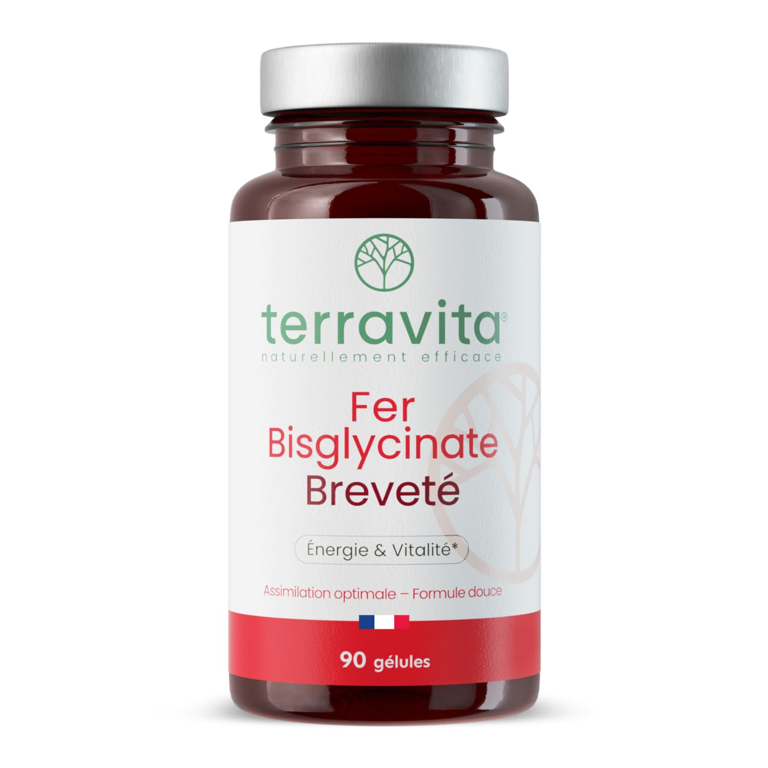 FER Bisglycinate Pur 14 mg | Complément Alimentaire Anti-Fatigue | Fer Breveté Ferrochel® Haute Absorption | Cure de 3 Mois sans Troubles Digestifs | 90 Gélules Végétales | Made in France | Terravita