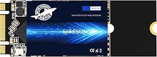 SSD M.2 2260 1TB Dogfish Ngff Internal Solid State Drive High Performance Hard Drive for Desktop Laptop SATA III 6Gb/s Includes SSD (1TB M.2 2260)