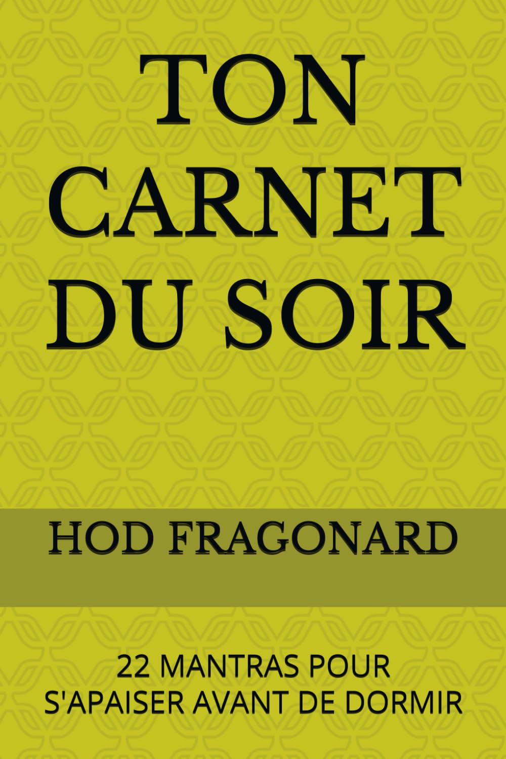 TON CARNET DU SOIR: 22 MANTRAS POUR S'APAISER AVANT DE DORMIR
