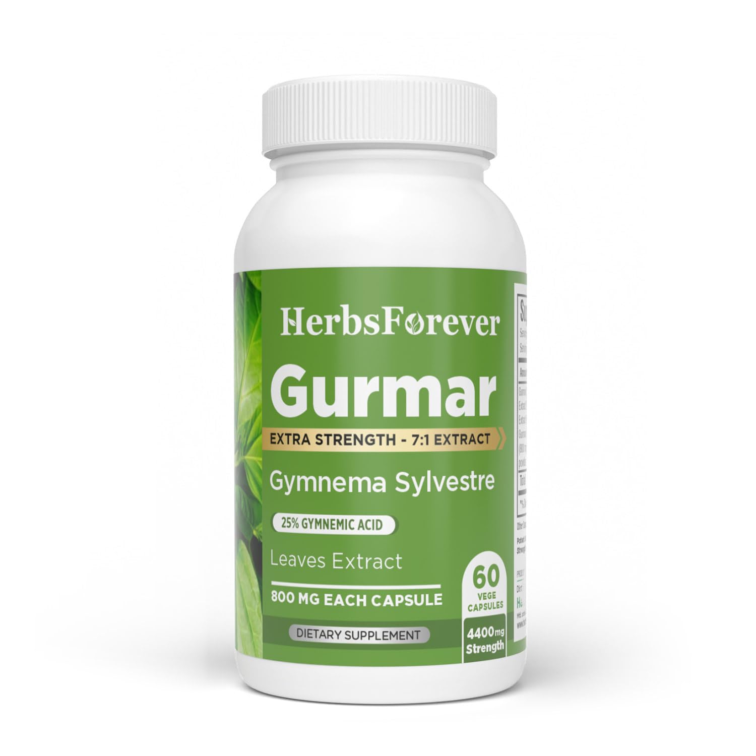 Herbsforever Gurmar
