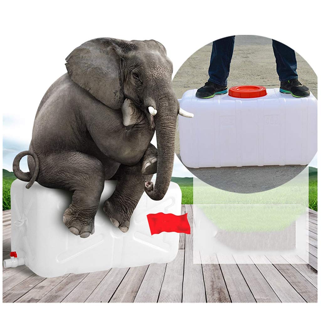 Jericane Eau Réservoir D'eau En Plastique 25L Bidon Pour Carburants Alimentaire Portable Conteneur Eau Potable