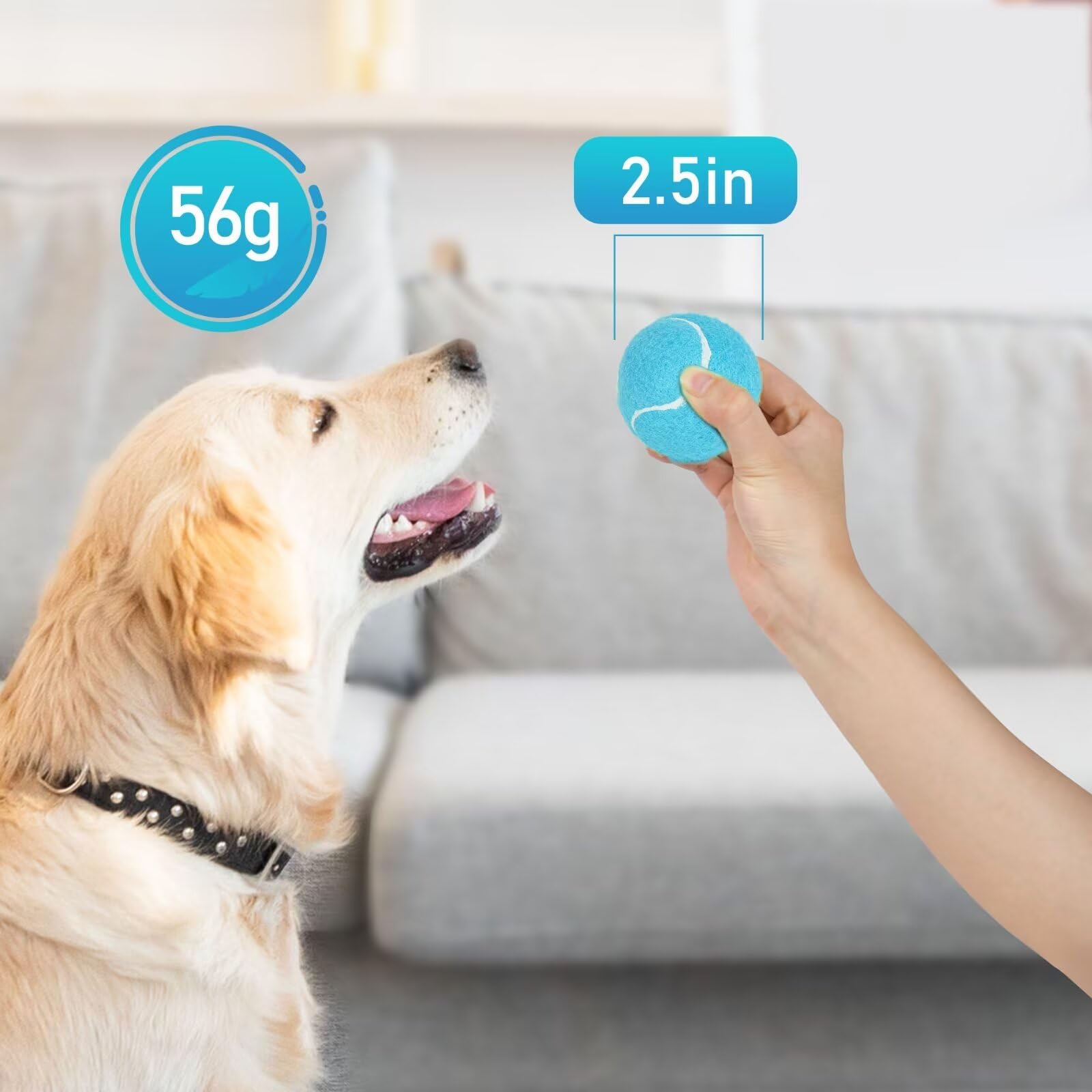 PrimePets Quietschbälle für Hunde, 6,3 cm Hundespielzeug, interaktives Hundespielzeug, Tennisbälle für drinnen und draußen, Quietschspielzeug für mittelgroße und große Hunde