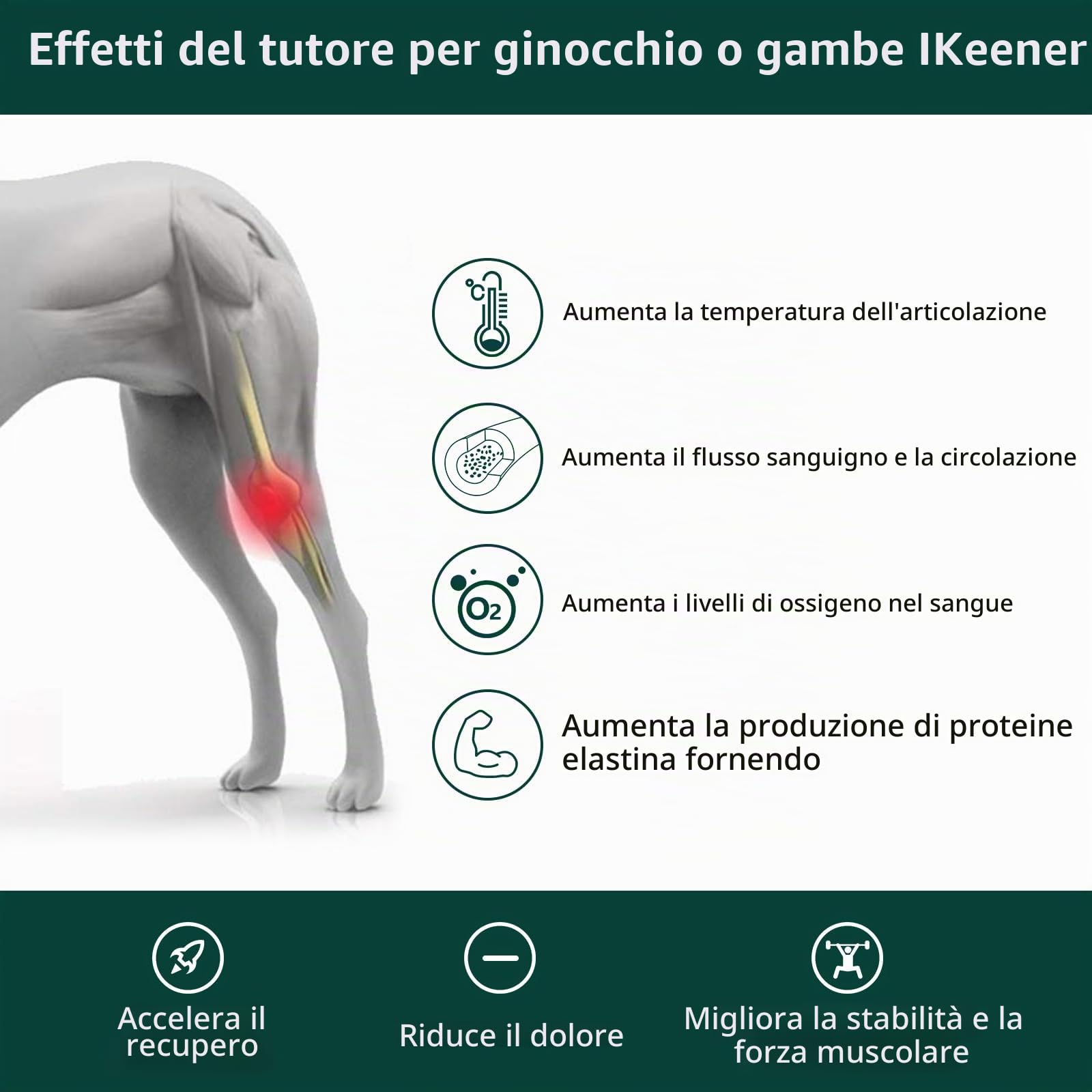 iKeener Dispositivo terapeutico per animali domestici, terapia laser a freddo, allevia il dolore articolare degli animali, dispositivo portatile per la terapia delle mani, luce rossa, per cavalli