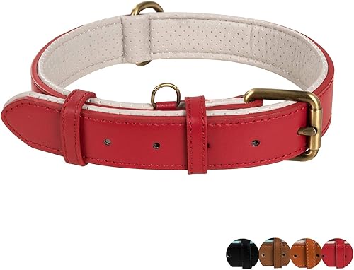 Poohoo Collar de piel auténtica para perro acolchado suave y transpirable herrajes de metal a prueba de óxido resistente anillo de etiqueta para