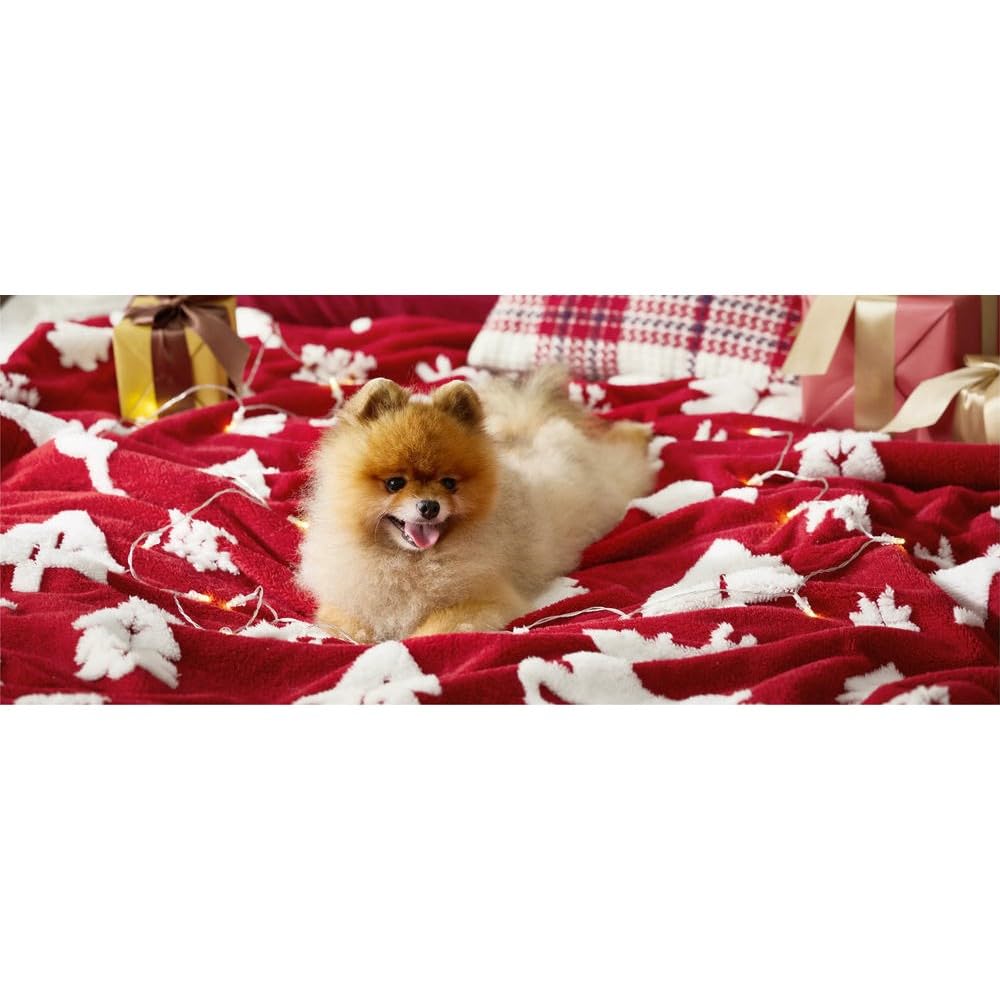 ZBDP - Manta de terciopelo de lujo súper suave con estampado navideño, decoración del hogar, manta cálida y acogedora