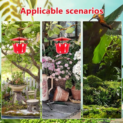 Cabides de alimentador de pássaros para fora, formigas de alimentador de beija -flor - Cabide do ali