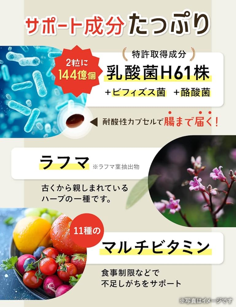 Amazon | 【2袋セット】Slamee スラミー お腹の脂肪 皮下脂肪を