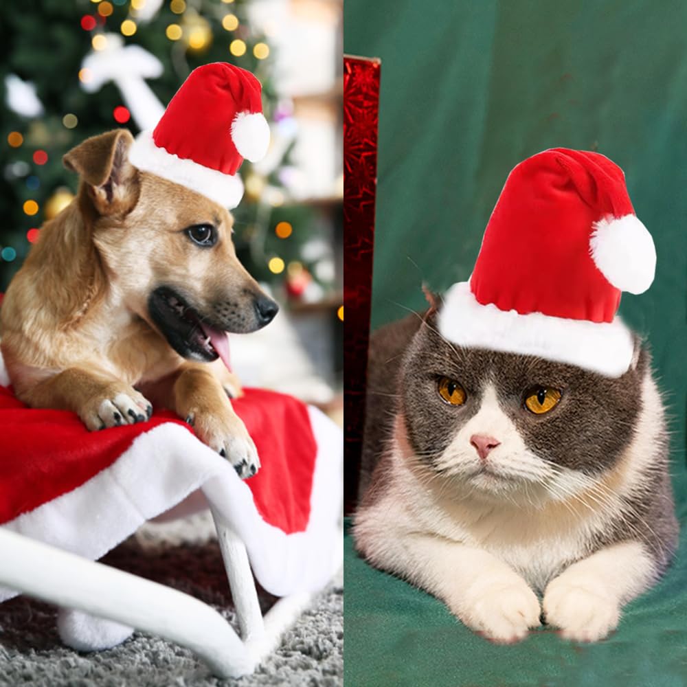 Gorro Navideño Ajustable Para Perro - Con Pompón Y Babero De Reno, Disfraz De Papá Noel Para Mascotas Pequeñas Y Medianas