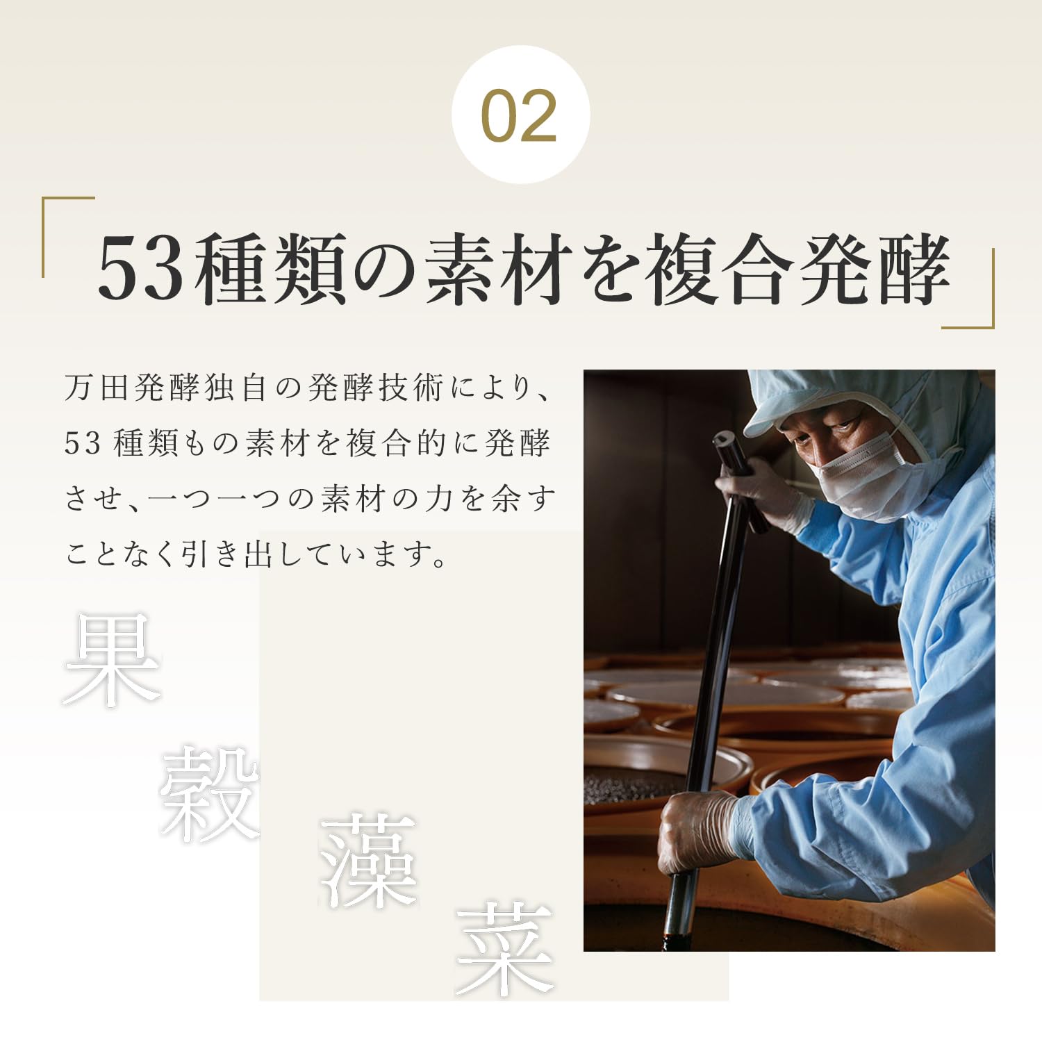 Amazon.co.jp: 【 2袋セット 】 【公式】万田酵素 MULBERRY マルベリー