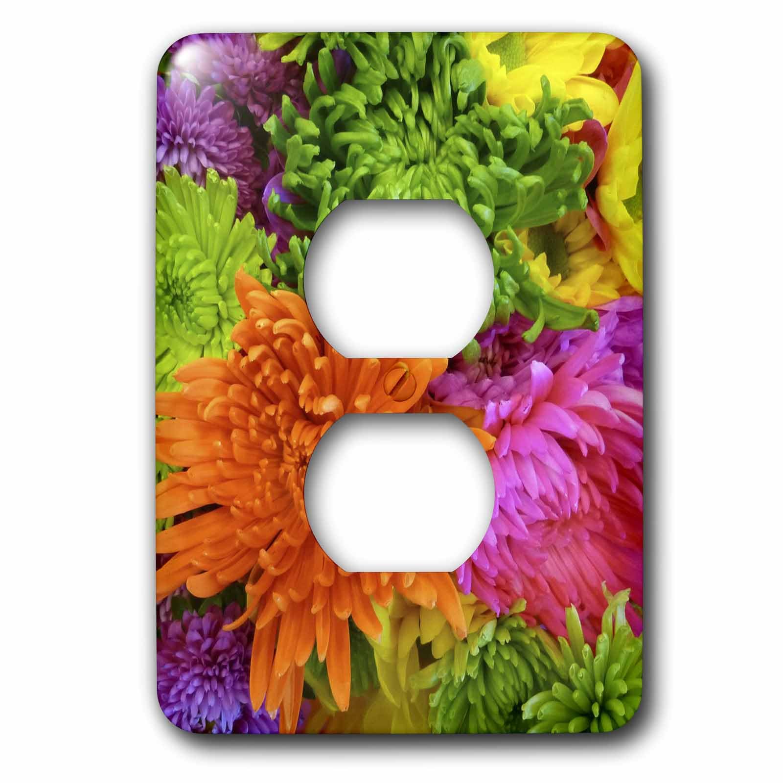 Cache 2 prises Orange citron Rose 3dRose LSP_38976_6 de 15,2 cm pour plaque murale décorative