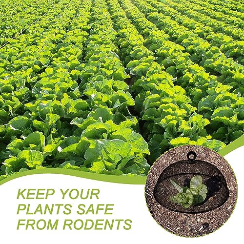 Foxtell SCNWZY-CZ001 6 Pcs Metal Mesh Food Cover 11 Inch Mesh Food Tents Fly Fruit Screen Food Net Dome Screen Plate Covers thumb #4