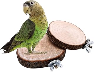 Natural Wood Perch Stand Toy for Small Medium Pet Bird Parrot Budgie Parakeet Cockatiel Conure Lovebird Finch Canary Hamster Gerbil Rat Chinchilla Squirrel Cage Platform