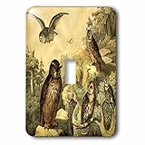  3dRose LLC. lsp_203723_1 Impression de hiboux du livre d\'histoire allemande vintage – Interrupteur à bascule Multicolore