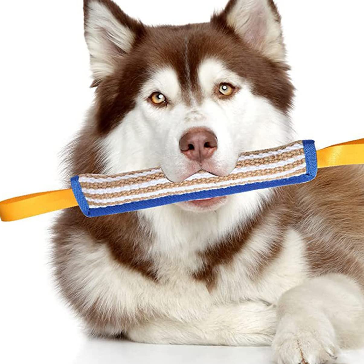 Happyyami Hunde Trainingsspielzeug 40cm zum Beißen und Apportieren
