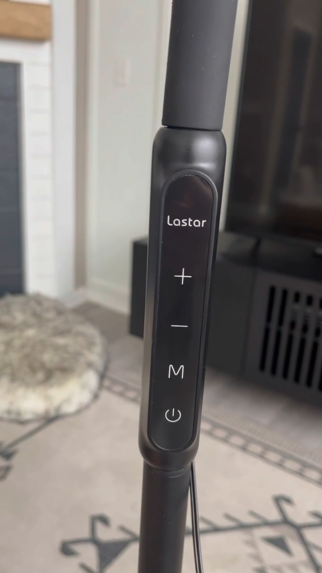 LASTAR LED Floor Lamp