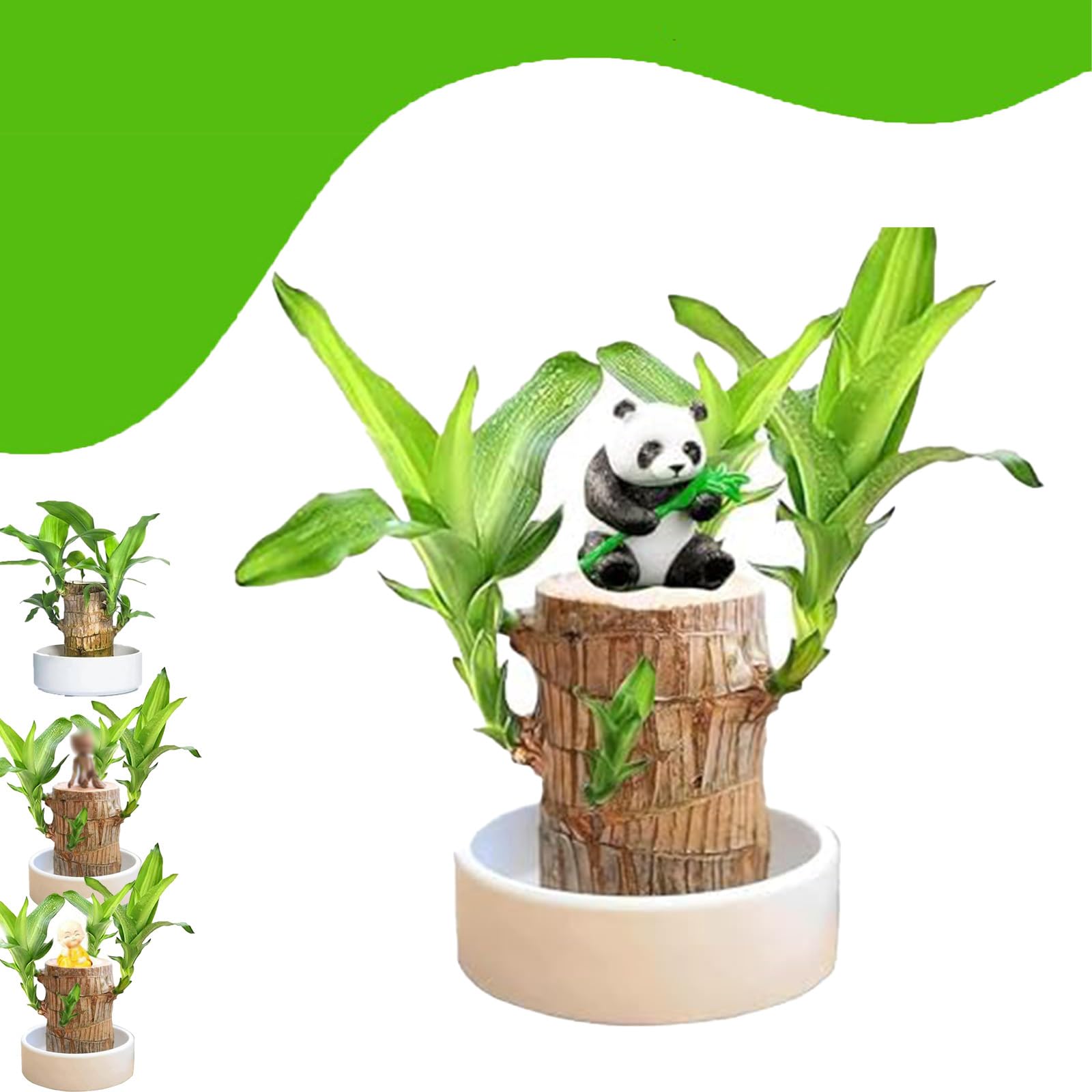 Brazilian Wood,Mini Brazil Lucky Wood,Brazilian Wood Decor,Brazilian Lucky Wood Desk 2024 New Brazilian Wood,Indoor Office Desktop Plant (D)