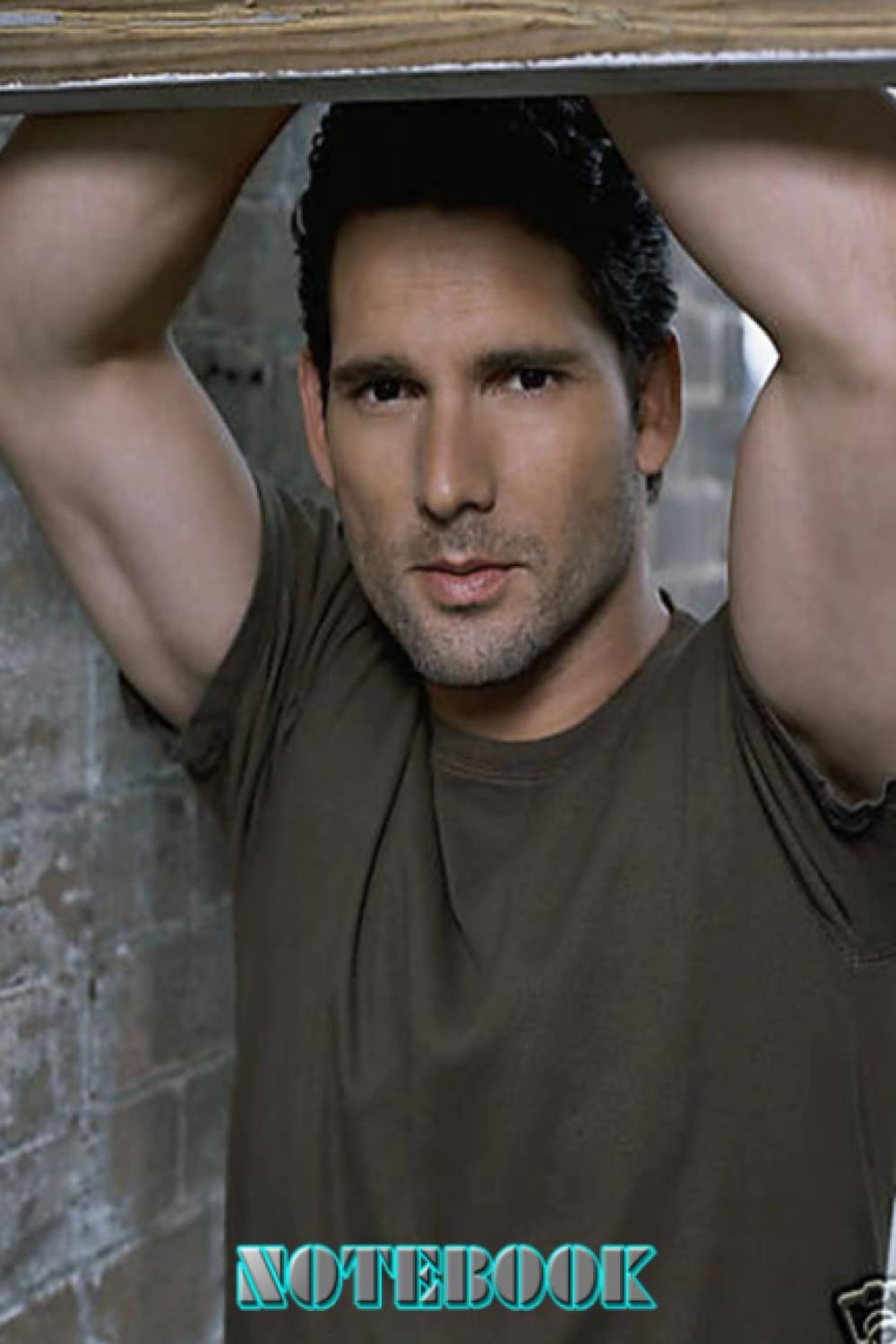 Notebook : Eric Bana Day Planner Notebook Great for Birthday or Christmas Gift Home or Work Vol #453