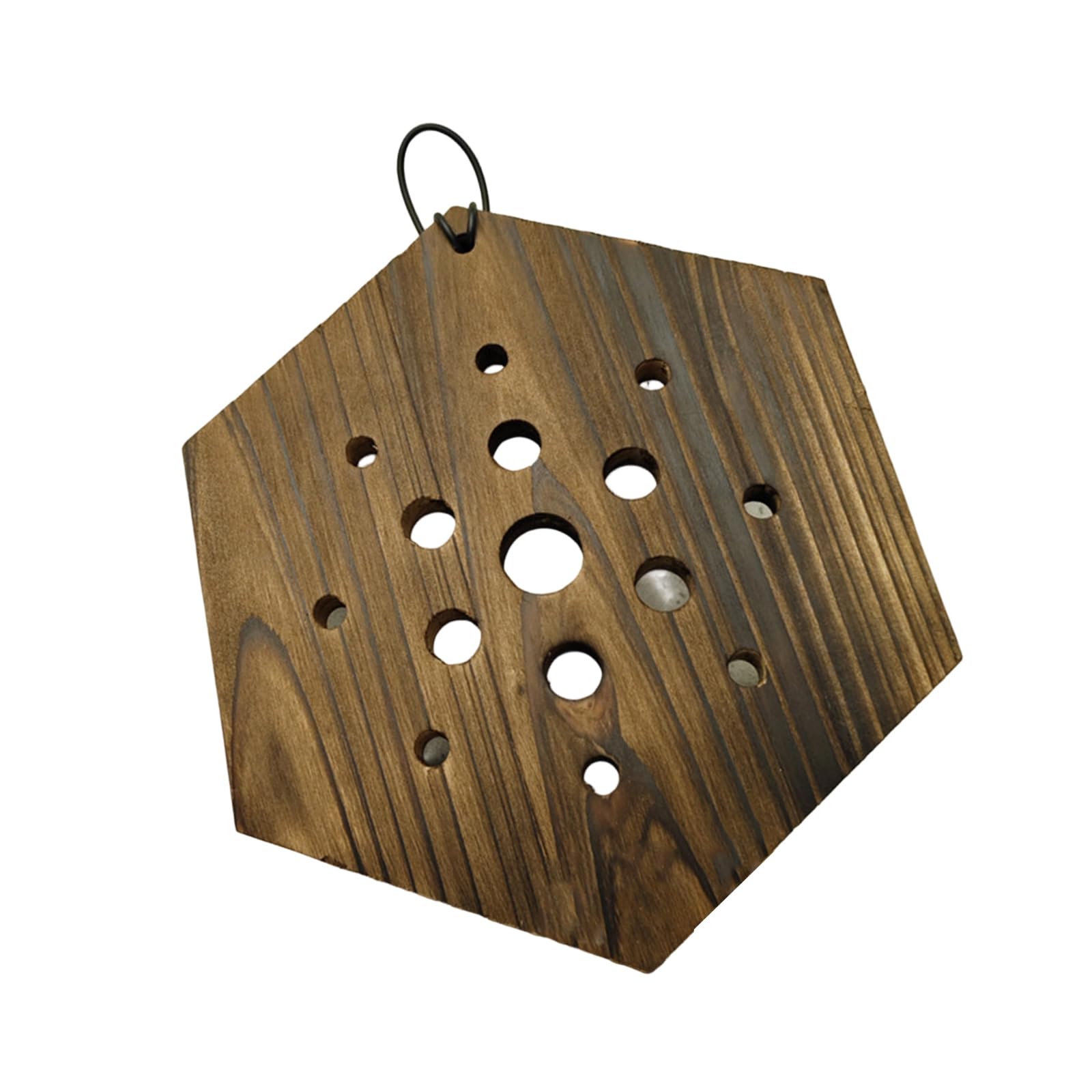 Piceioep Hexagonal Wooden Wall Planter Vertical Garden for Staghorn Ferns Easy Install Space Saving Indoor Decor Climbing Plant Wall Mounting Board