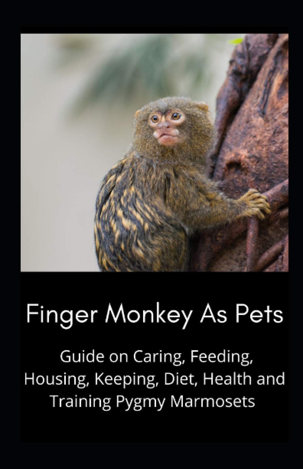 Buy Finger Monkey As Pets Guide on Caring, Feeding, Housing, Keeping, Diet, Health and Training