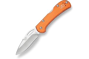 Buck Bantam Folding Lock Back Pocket Knife