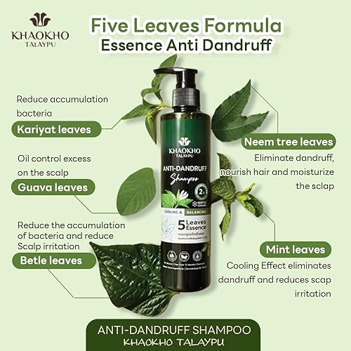 Miniatura 3 de KKT Champú para el cuidado del cuero cabelludo con extracto de hierbas, anticaspa natural. Fórmula de extractos de hierbas, libre de productos