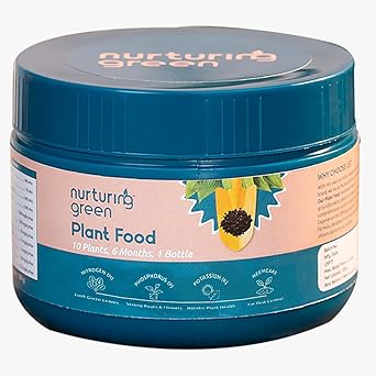 Nurturing Green® All-in-One Plant Food (100gm, granules) | Provides Plant with Nutrition for Growth & Improves Soil Health | Nutrient-Rich Fertilizer with Slow Nutrition Release for Home Gardening - image, photos