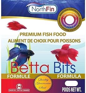 π₯ 10 Best Betta Fish Food 2 61NMfPvjBTL. AC SL300