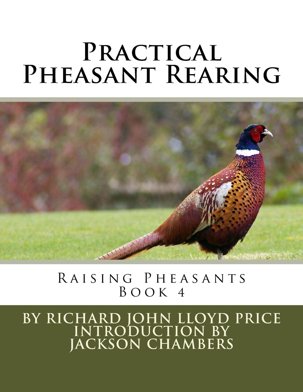 Practical Pheasant Rearing: Raising Pheasants Book 4: Volume 4