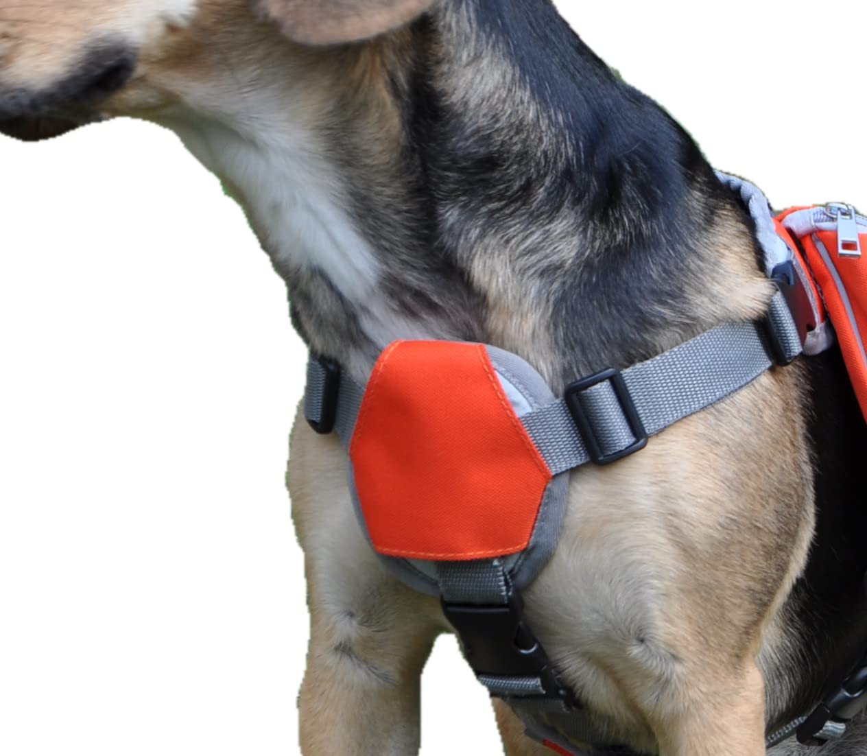 Zaino bisaccia per cani regolabile per trekking, imbracatura con manico per viaggi. Doppia tasca grande per accessori. Sicurezza e striscia riflettente, traspirante comoda leggera.