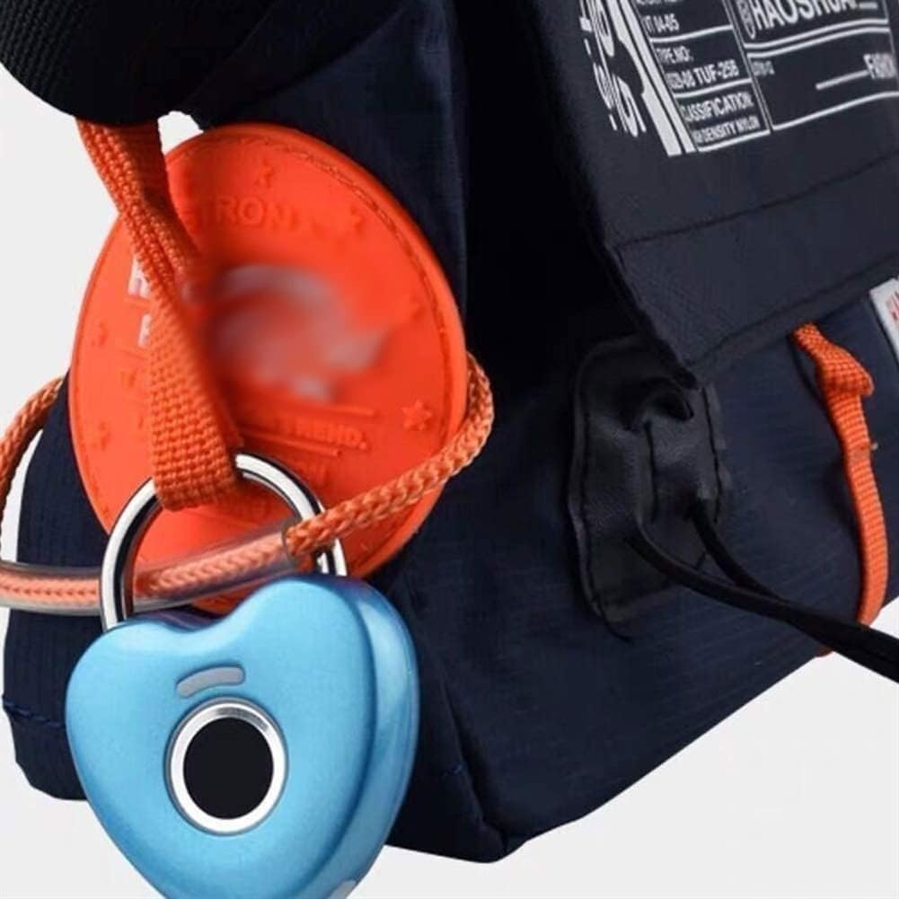 TOEWOE Fingerprint Padlock, Smart keyless Locker Lock, USB Rechargeable Biometric Lock, Fingerprint Lock, Small Lock for Gym, Door, Luggage, Suitcase, Backpack (Color : B)