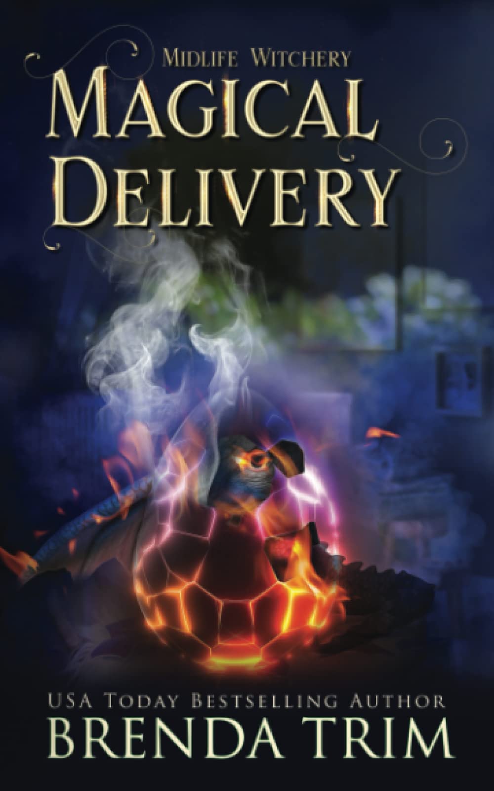 Cover of Magical Delivery