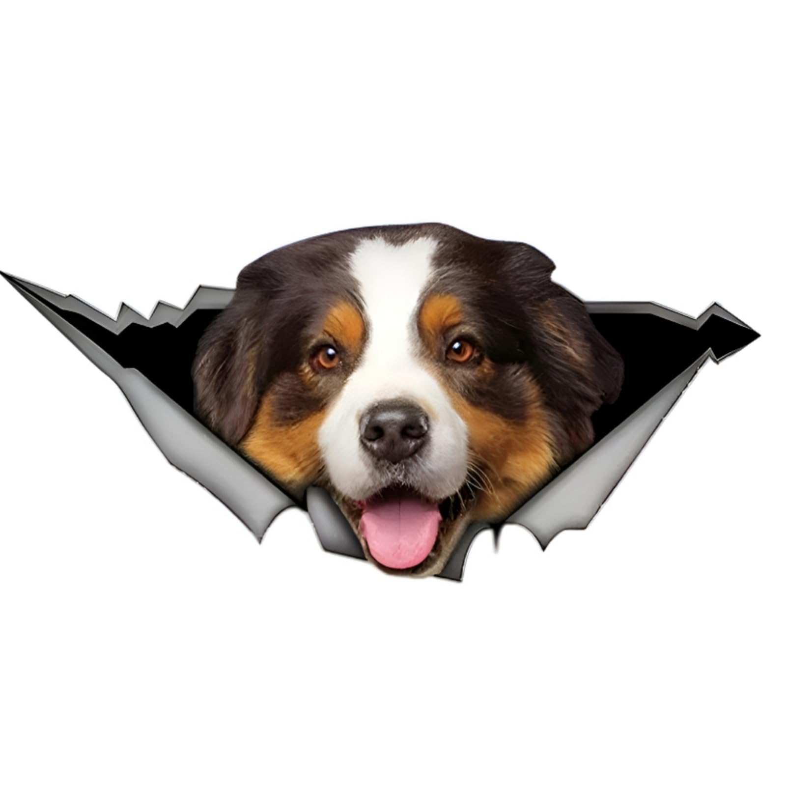 Französische Bulldogge Aufkleber, 3D Zerrissener Effekt, Was