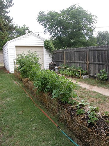 Straw Bale Gardening - Image 4