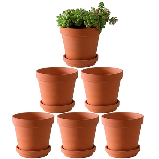 Yishang Large Terra Cotta Pots with Saucer- 6 Pack Large 6'' Terra Cotta Plant Pot with Drainage Hole, Flower Pot with Tray, Terracotta Pot for Indoor Outdoor Plant
