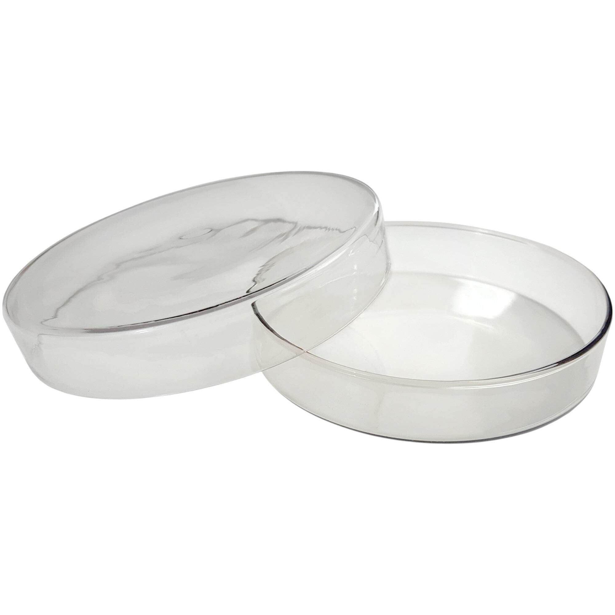 1500-3 Glass Petri Dish, 90 mm x 15 mm