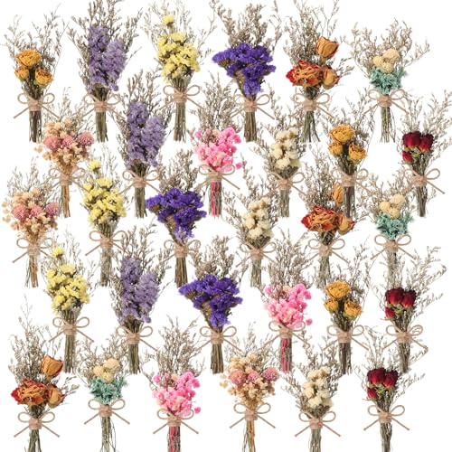 Mini ramos de flores secas naturales Riceshoot 30 piezas miniatura 1