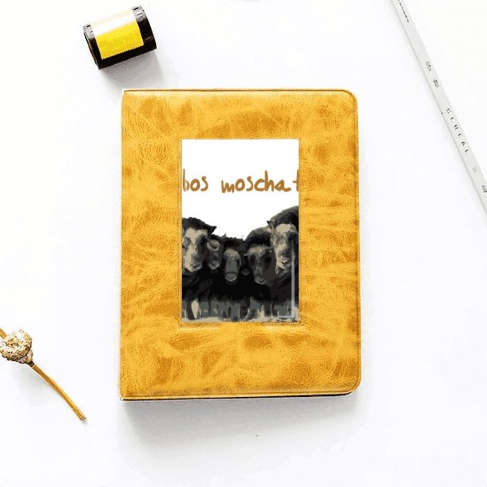 north american Photo Album Family Wedding Picture 4x6