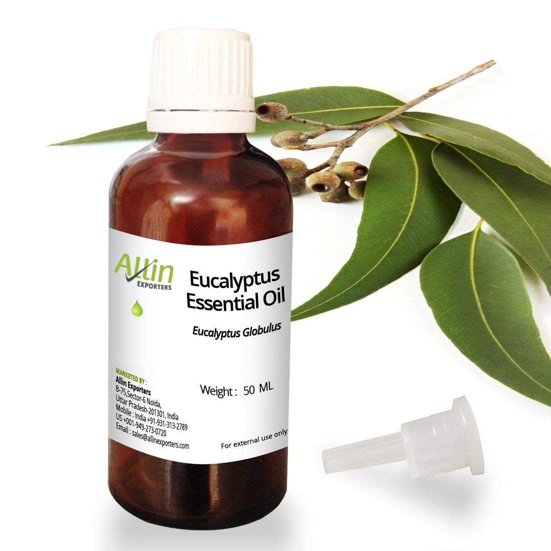 Allin Exporters Eucalyptus Essential Oil Natural Undiluted Therapeutic Grade for Skin Care, Body Massage & Aromatherapy (50 ML) (B01A25DZVI) Amazon Price History, Amazon Price Tracker