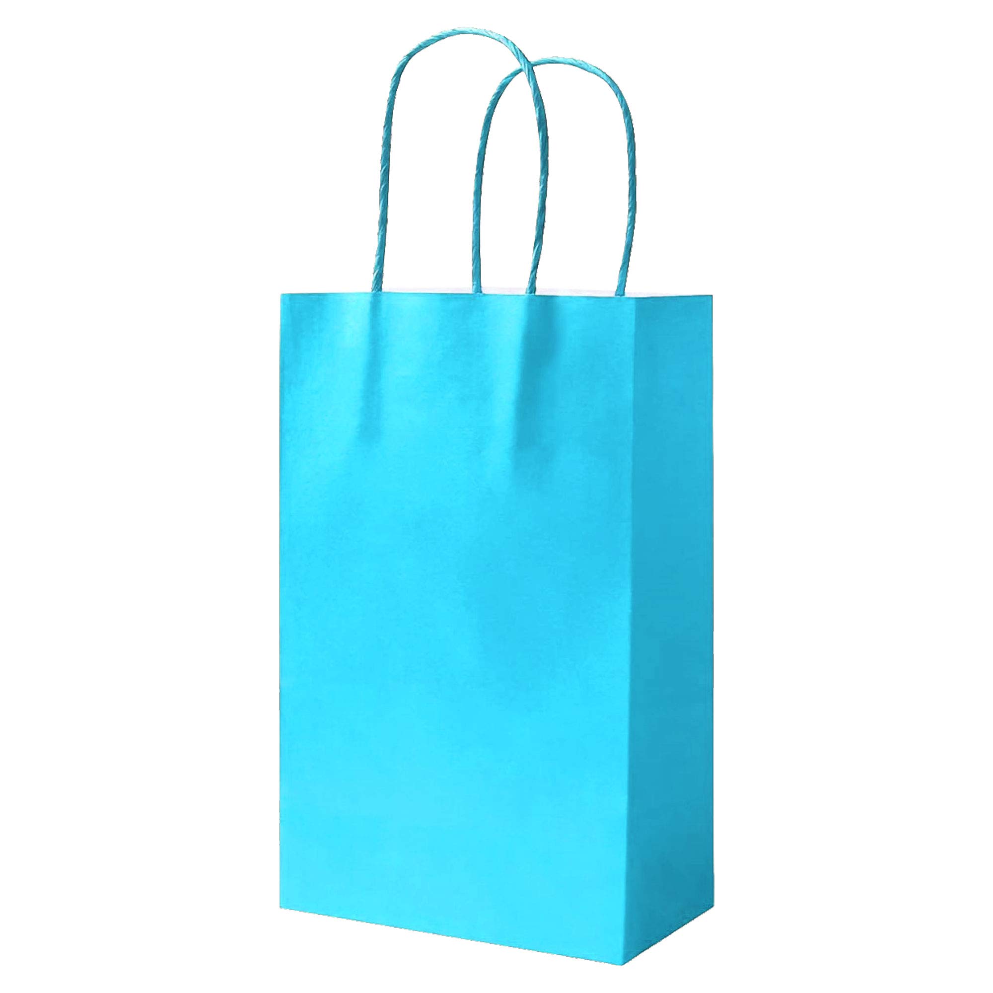 50 Baby Blue Party Bags Paper Bags With Handles Paper Gift Bag Paper Bag Carrier Bags Paper Bag Sweet Loot Celebrations Birthday Christmas Halloween Reinforced Twisted Handle (Baby Blue - 50 Bags)