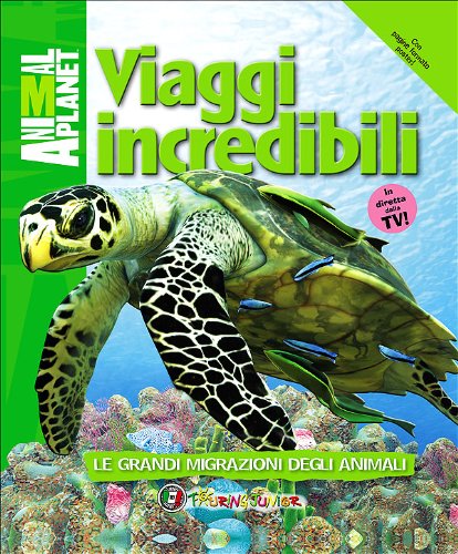 Viaggi incredibili Viaggi incredibili