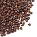 Grains of Paradise - 4 oz.