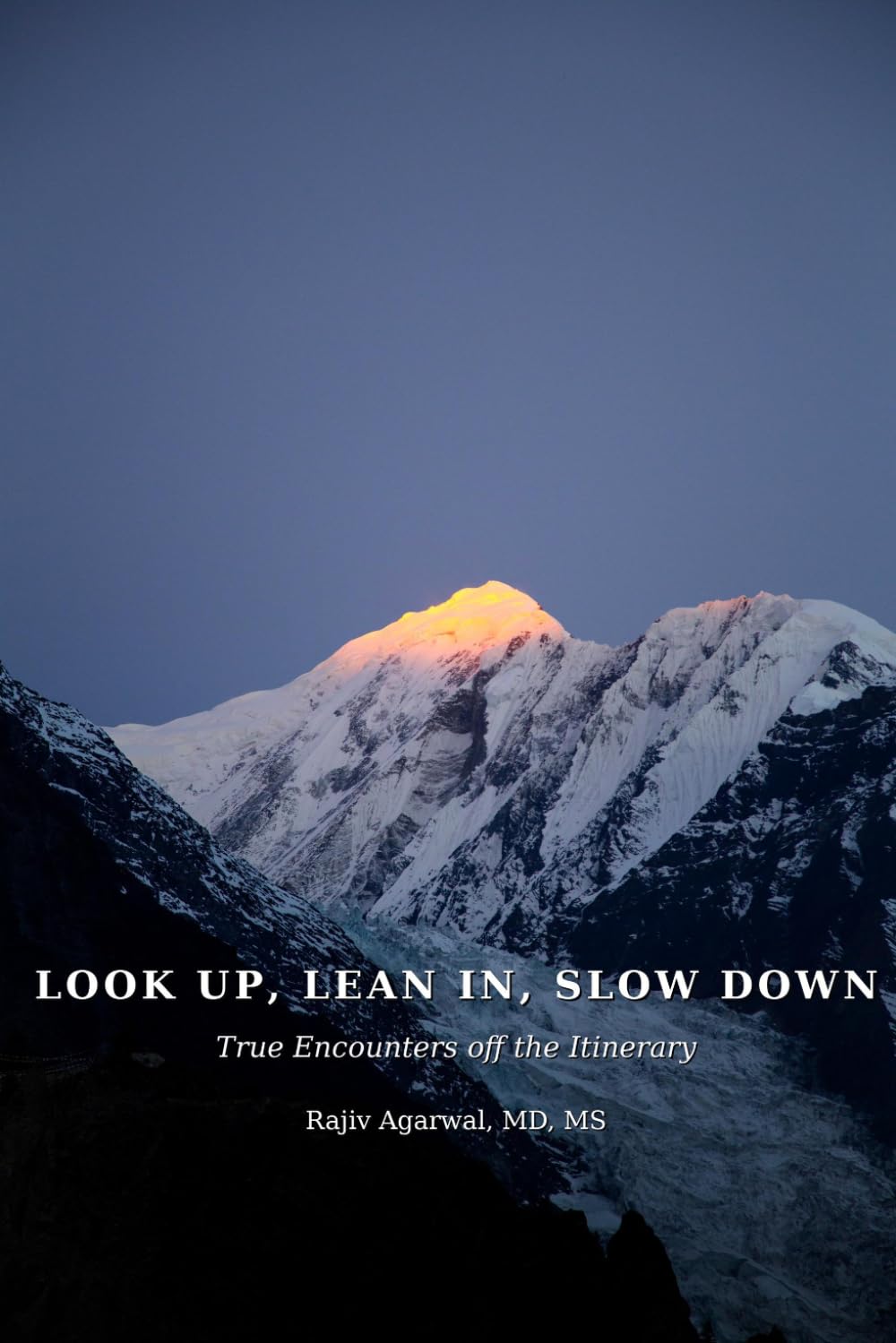 Look up, Lean in, Slow Down: True Encounters off the Itinerary