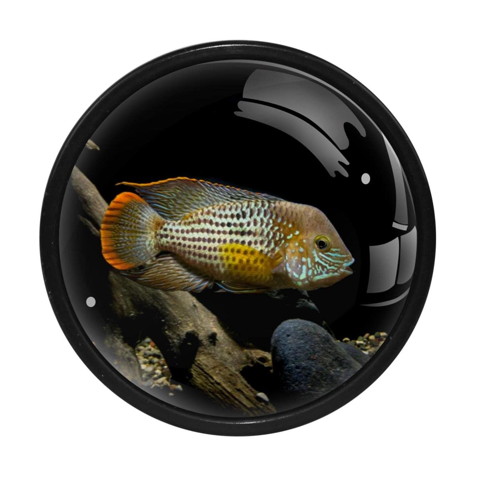 Knobs for Cabinets and Drawers Cabinet Knobs Pulls cofish-aquarium-5pqBpx-cGvU-unsplash Round Drawer Pulls 4 Pcs