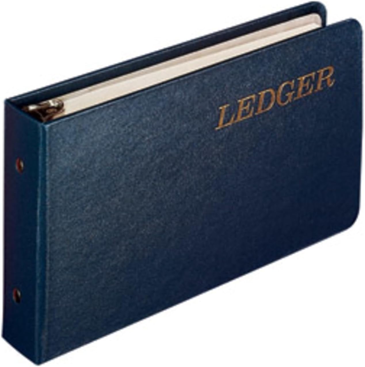 Ring Ledger Outfit, Bookkeeping System with Ring Binder, Ledger Sheets, and A-Z Indexes (W0203-58BLA)