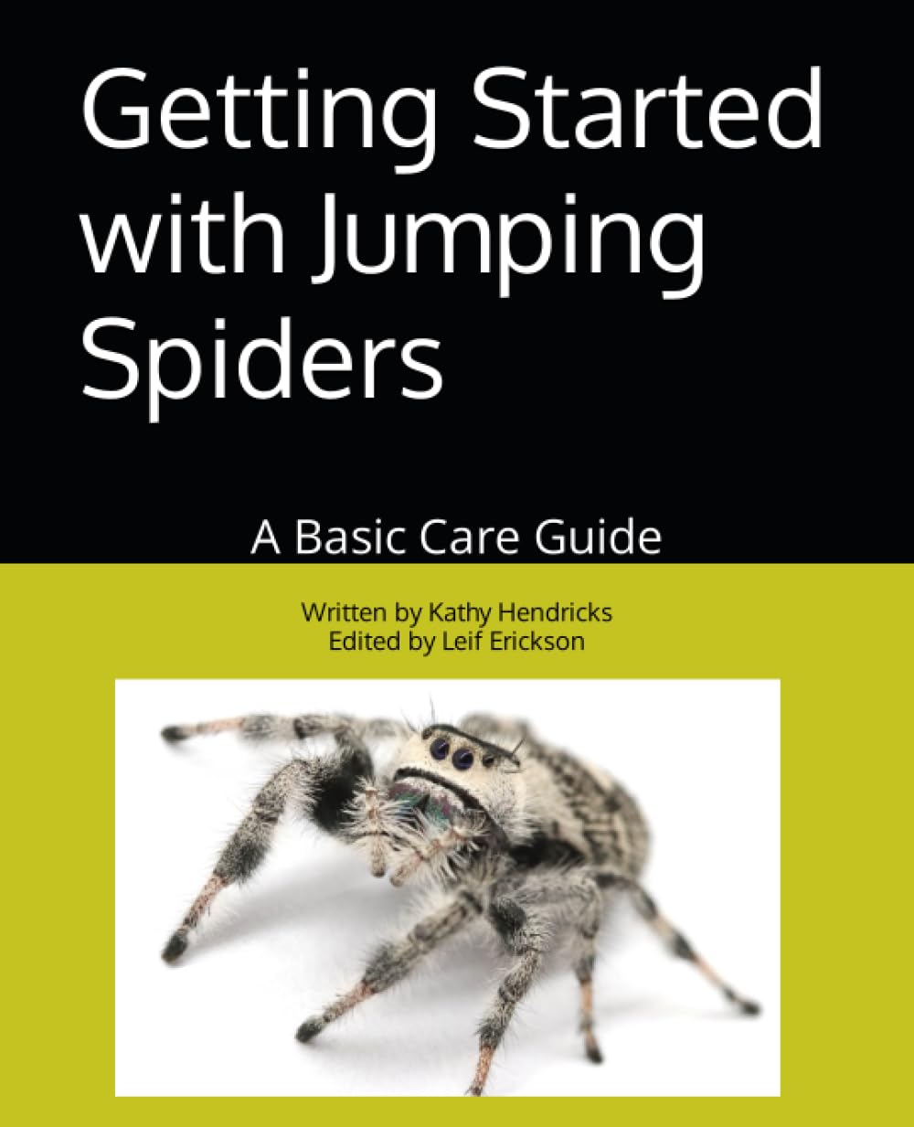 Getting Started with Jumping Spiders: A Basic Care Guide