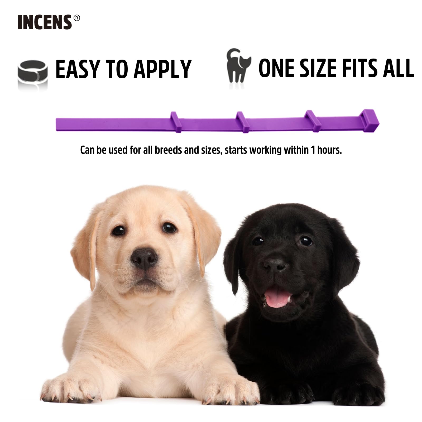 INCENS Calming Collar for dogs designed to alleviate anxiety in dogs - Image 3