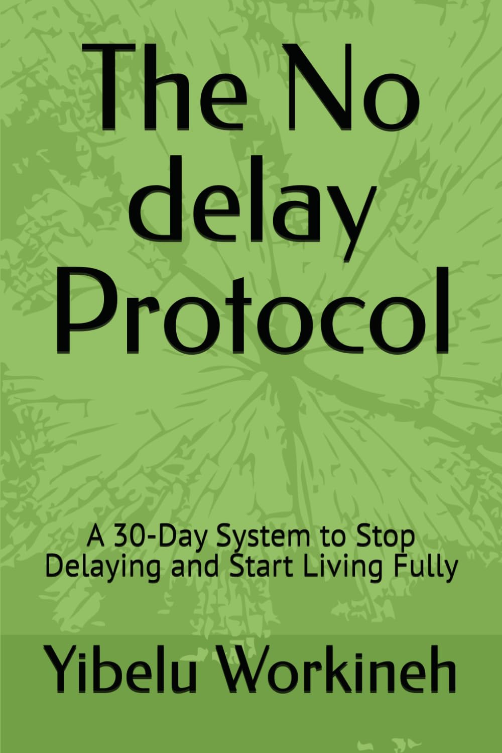 The No delay Protocol: A 30-Day System to Stop Delaying and Start Living Fully